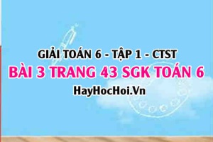 Giải bài 3 trang 43 Toán 6 Tập 1 SGK Chân trời sáng tạo